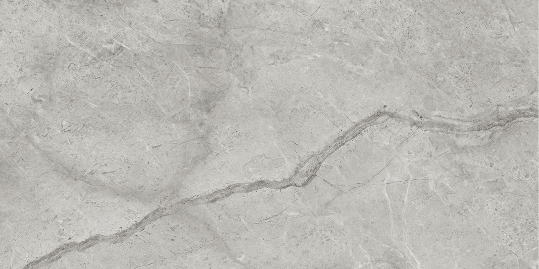 sammys-designer-flooring-tile-full-size-marca-paradiso-argento2.jpg