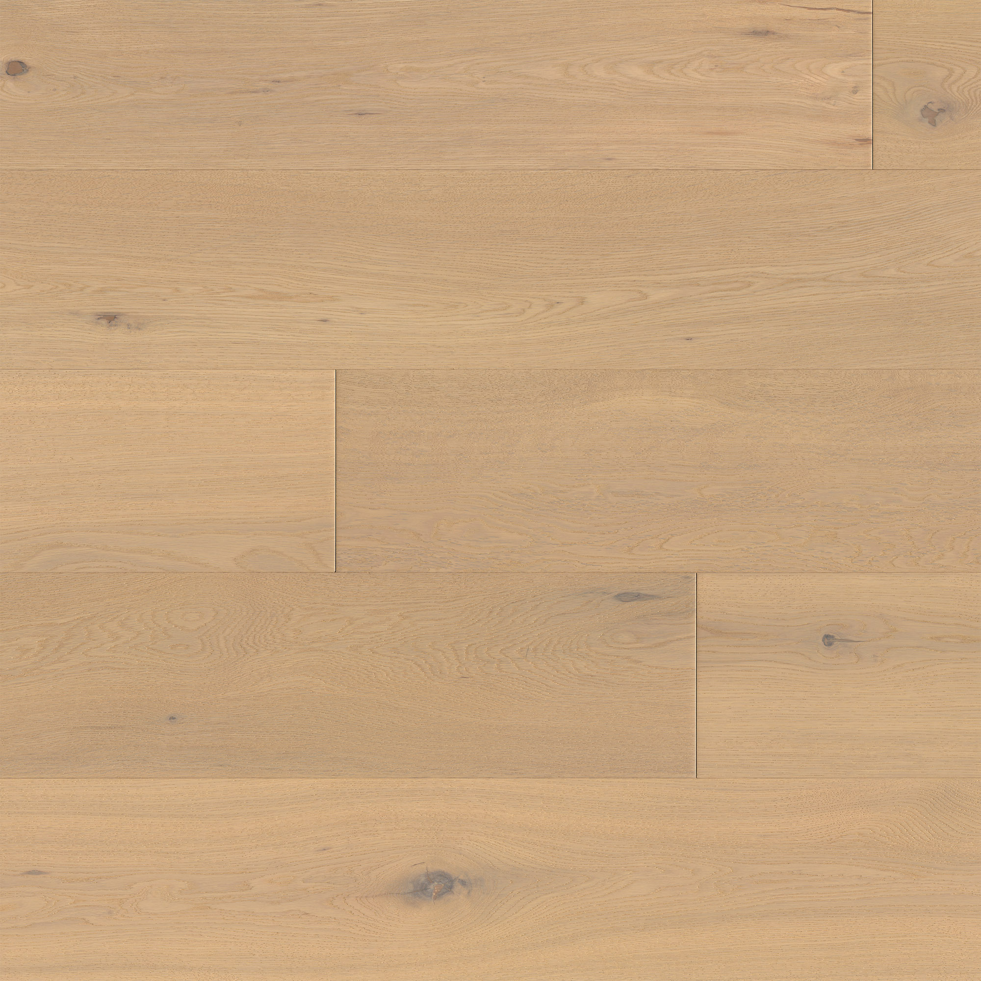 engineered-hardwood-sammys-designer-flooring-expressions-demeanor-1